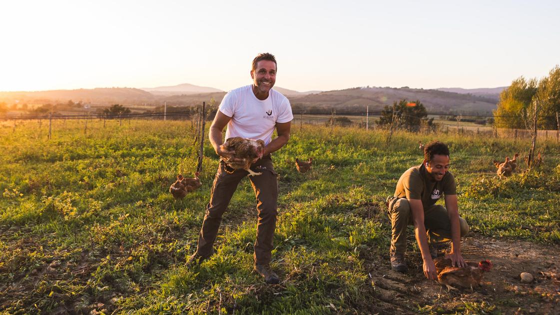 Quelli che cambiano vita. Dal petrolio alla fattoria, creando un pollaio che si gestisce da solo