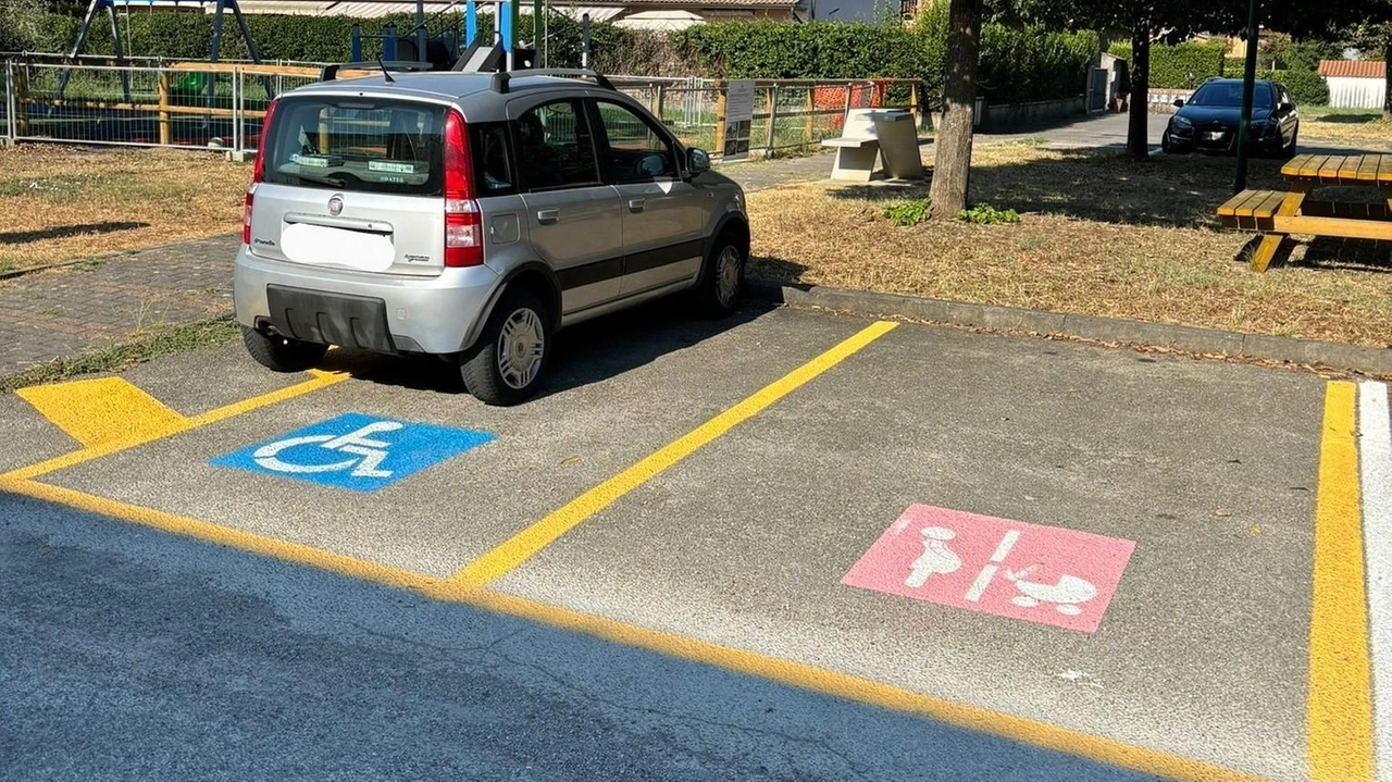 Il Comune di Capannori ha realizzato il primo stallo per auto dedicato alle donne in gravidanza e ai genitori con bambini fino ai 2 anni. Saranno istituiti ulteriori stalli "rosa" in prossimità di luoghi pubblici, per facilitare l'accesso a servizi essenziali.