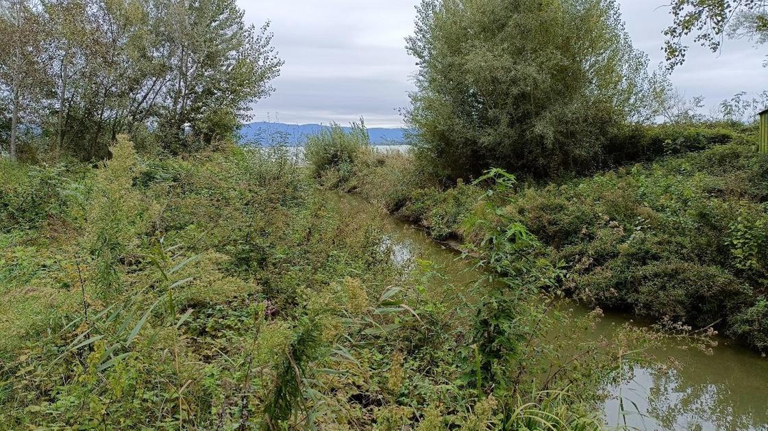 "Salviamo il nostro lago". C’è uno spiraglio per unire. Trasimeno e Montedoglio