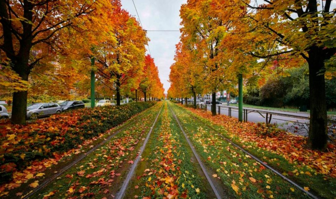 Autunno alle porte: dove ammirare lo spettacolo del foliage