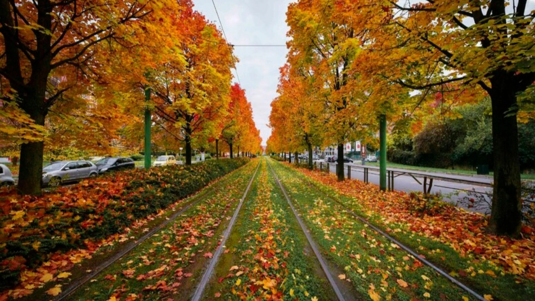 Lo spettacolo del foliage, ammirabile in diverse zone d'Italia e del mondo (foto Ansa)