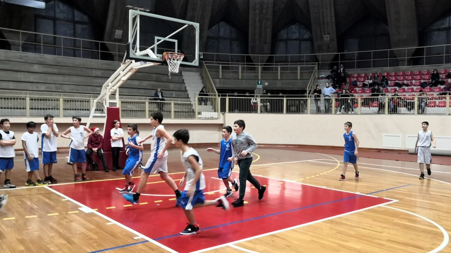 La IES presenta un ampio ventaglio di proposte nel settore giovanile e minibasket