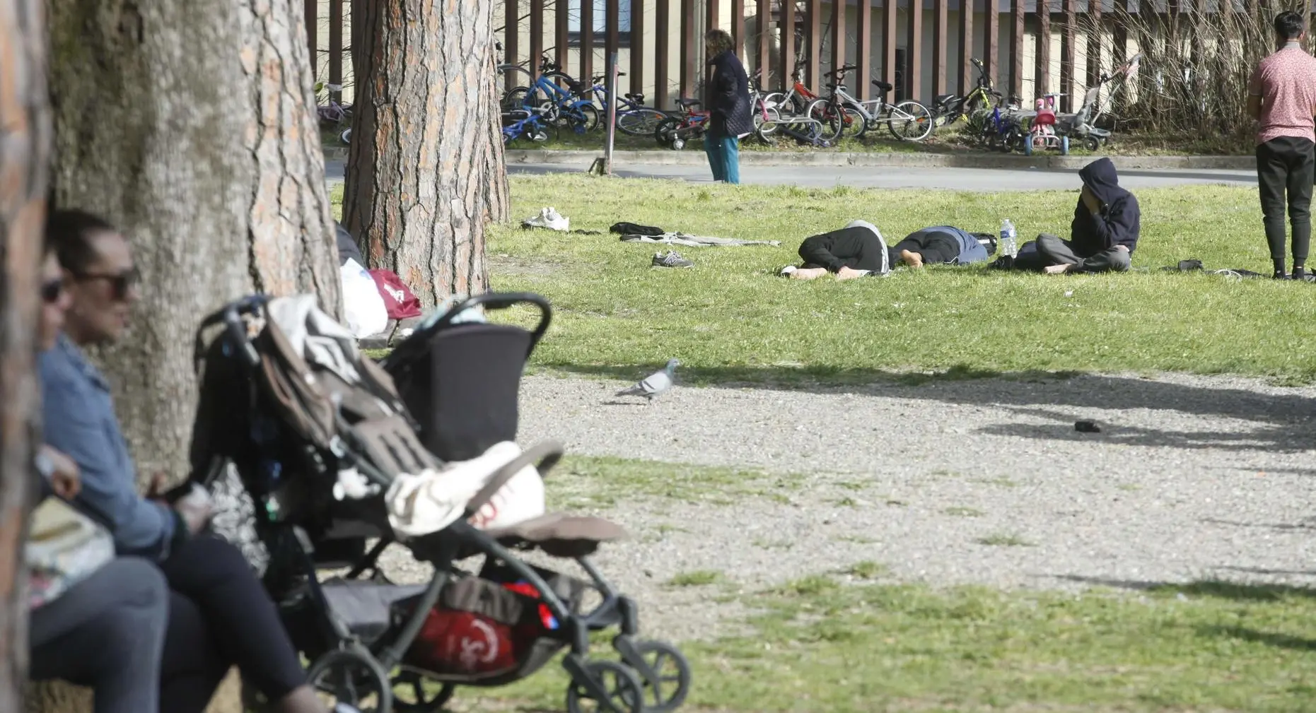 Parco Norma Cossetto, spazi sempre più stretti