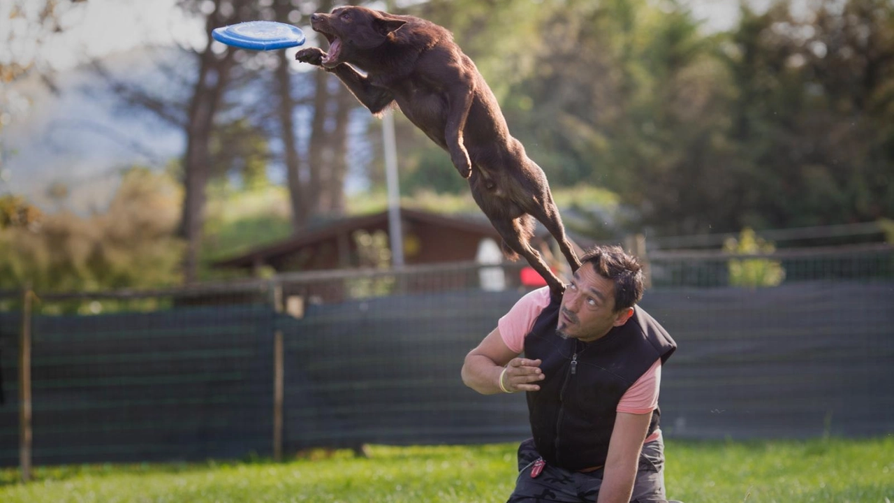 Il dottor Francesco Bardi è specializzato anche nella disciplina del “disc dog“ e promuove. il dog trekking collettivo