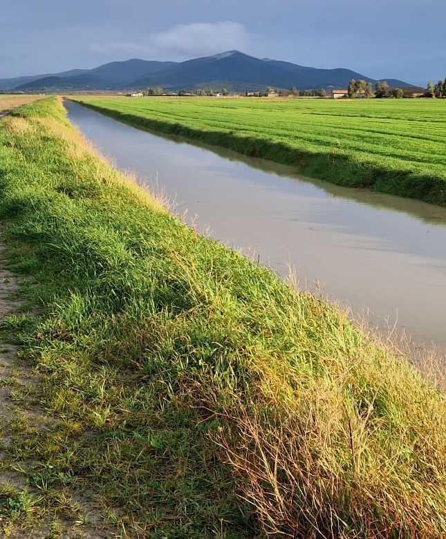 Attivati i servizi di piena per Bruna e Ombrone