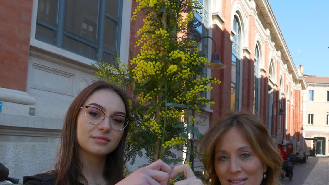 Figure femminili e toponomastica: "C’è squilibrio"