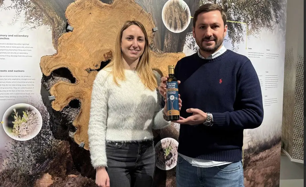 L’olio ufficiale del Giubileo sarà firmato dall’Oleificio Morettini