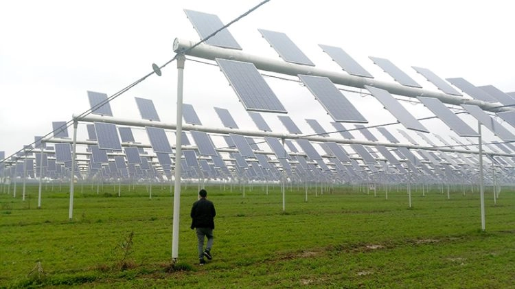 Impianto agrifotovoltaico (Foto di repertorio)