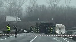 Attimi di paura e traffico in tilt ieri sulla nuova 429 per Certaldo. In località Badia Elmi, nel comune di...