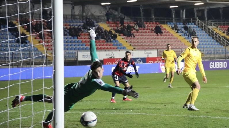 Calcio serie C. Gubbio, Iaccarino arma in più di Fontana