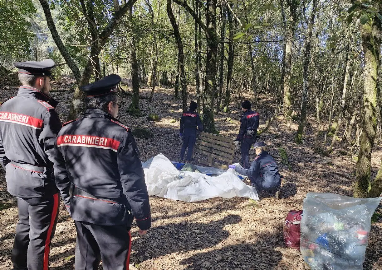 Spacciatori nel bosco. Smantellato il bivacco