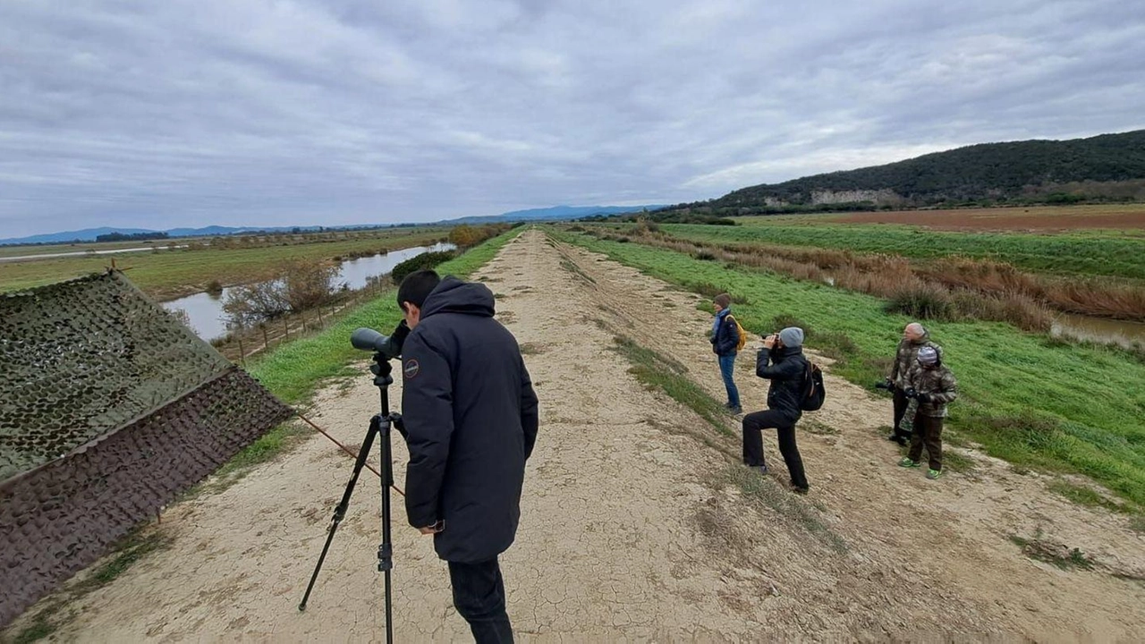 Sarà possibile fare birdwatching nella zona delle «Macchiozze», solitamente chiusa