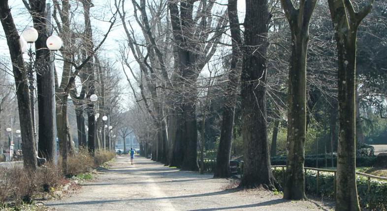 Atti vandalici alle Cascine. Intervengono le forze dell’ordine, danni a due vetture