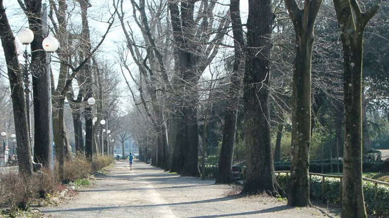 Atti vandalici alle Cascine