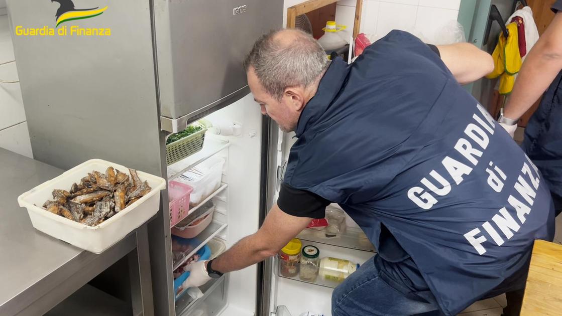 Prato, maxi sequestro di cibo in ristoranti etnici. Scoperti e distrutti 800 kg di alimenti