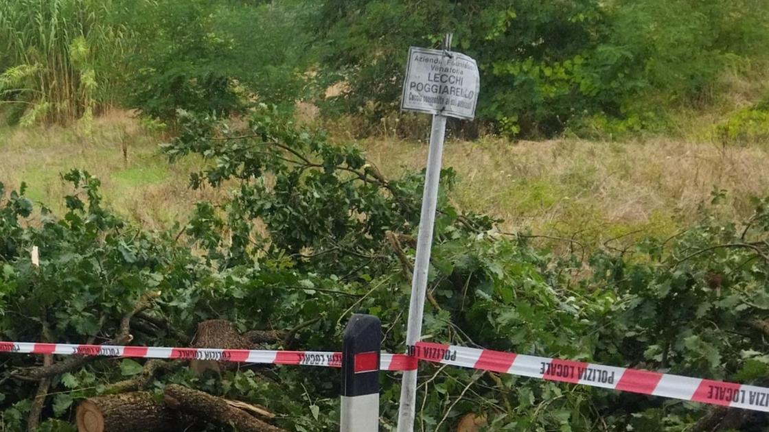 Strada chiusa vicino al cimitero di Staggia, pompieri al lavoro