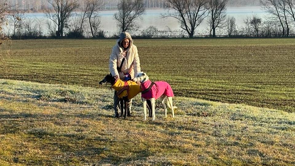 Sbranati dai pitbull, raccolta di firme. “Sanzioni pesanti a chi li lascia liberi”