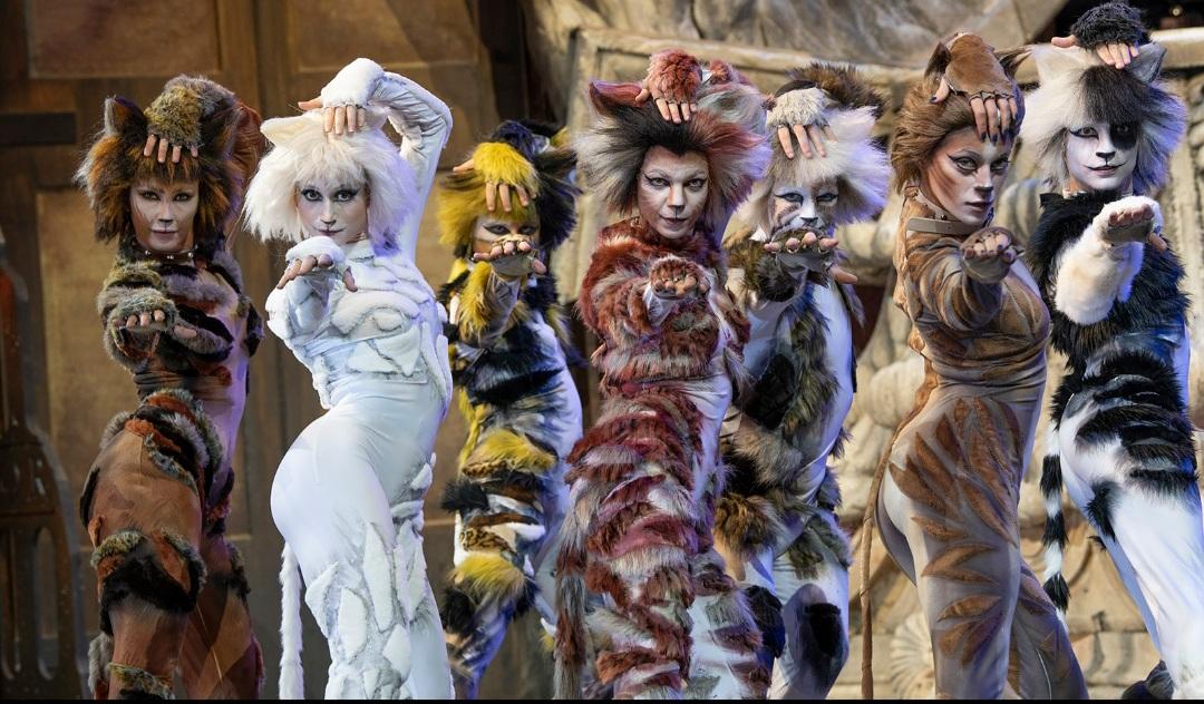 Firenze, il musical Cats ritorna al Teatro Verdi