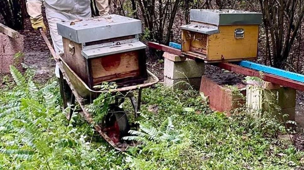 Un produttore di miele al lavoro