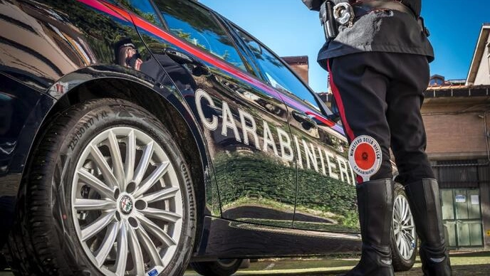 L'indagine svolta dai carabinieri