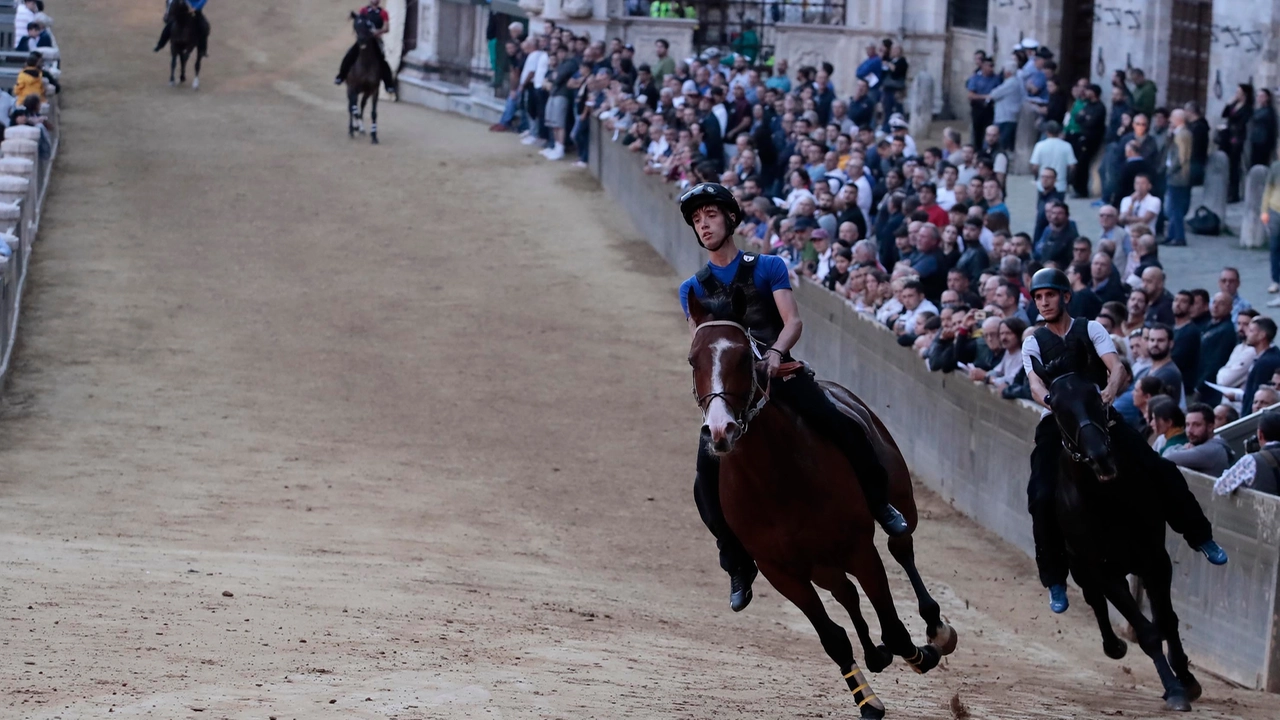 Siena, il Palio si avvicina: le prove di notte, ora attesa per l’assegnazione dei cavalli