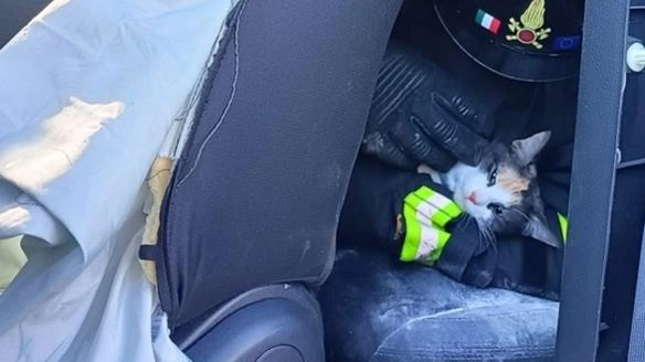 Caos ieri mattina sull’autostrada A11 all’altezza di Capannori, vicino alla zona industriale di Carraia, fra un camion e quattro auto:...