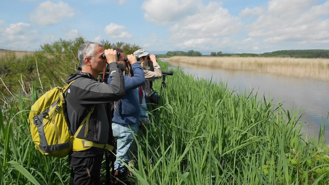 La polemica è scoppiata sui social per l’accessibilità alle attività di birdwatching nella riserva della Morette