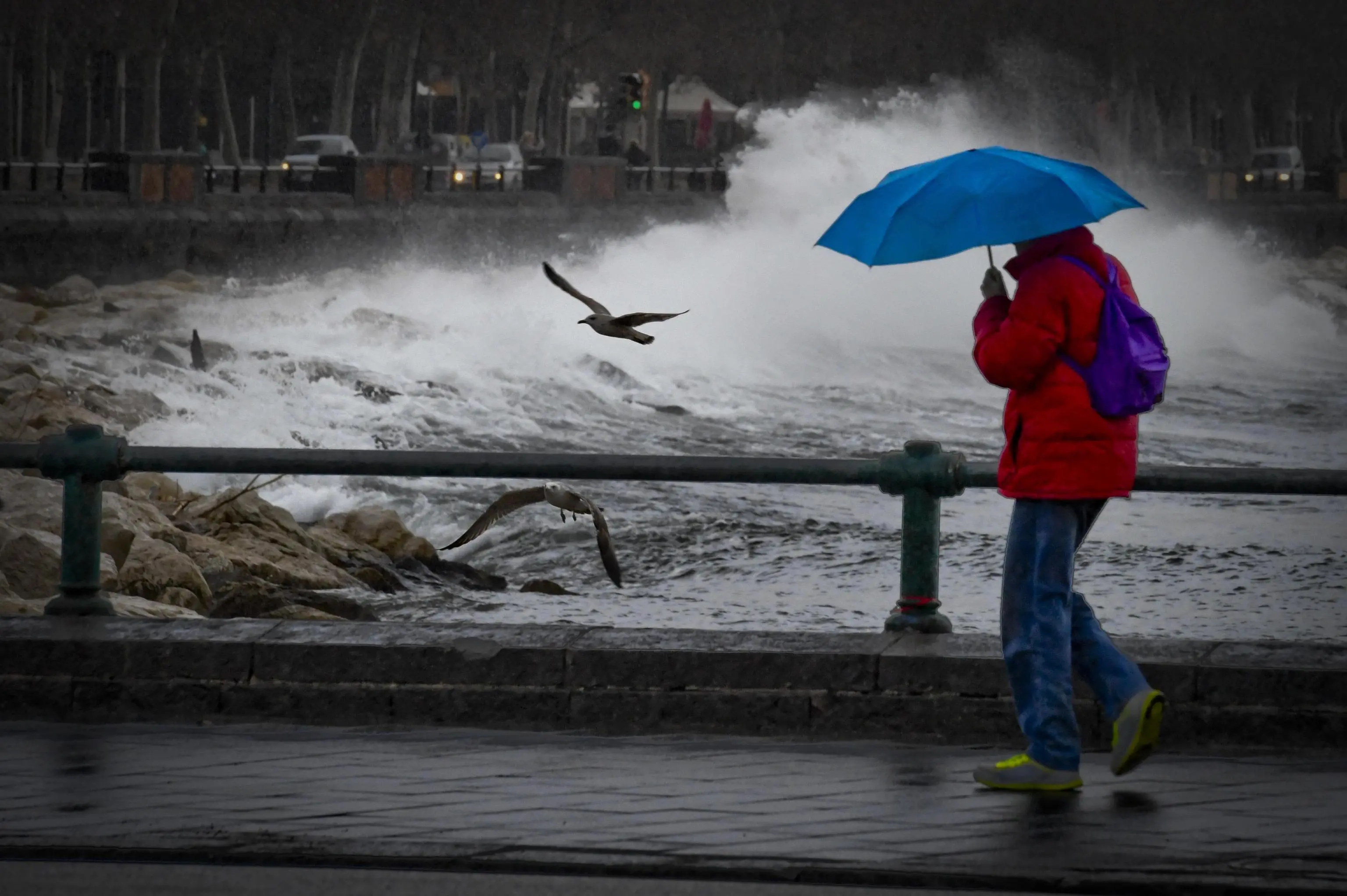 Vento forte, allerta in Liguria: “burrasca forte” sul Levante