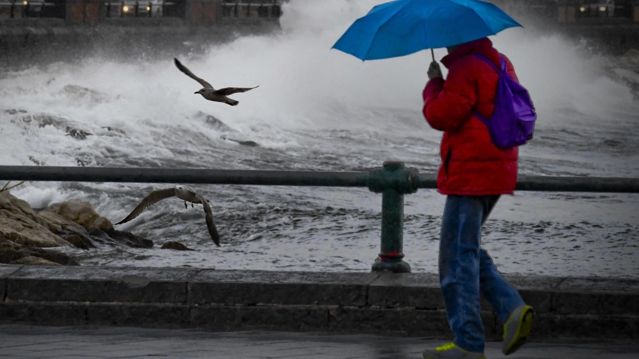 Vento forte, allerta meteo in tutta la Liguria