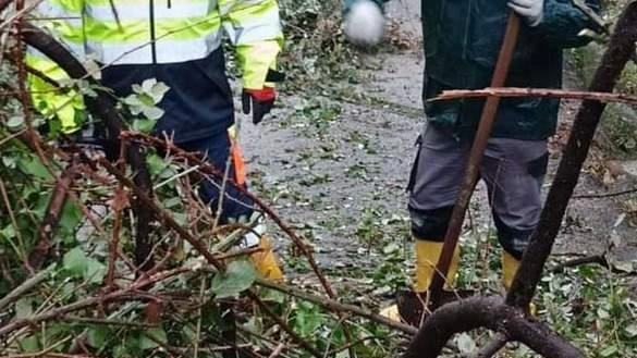 Un intervento dei volontari della Protezione Civile di Montignoso sul territorio colpito dal maltempo