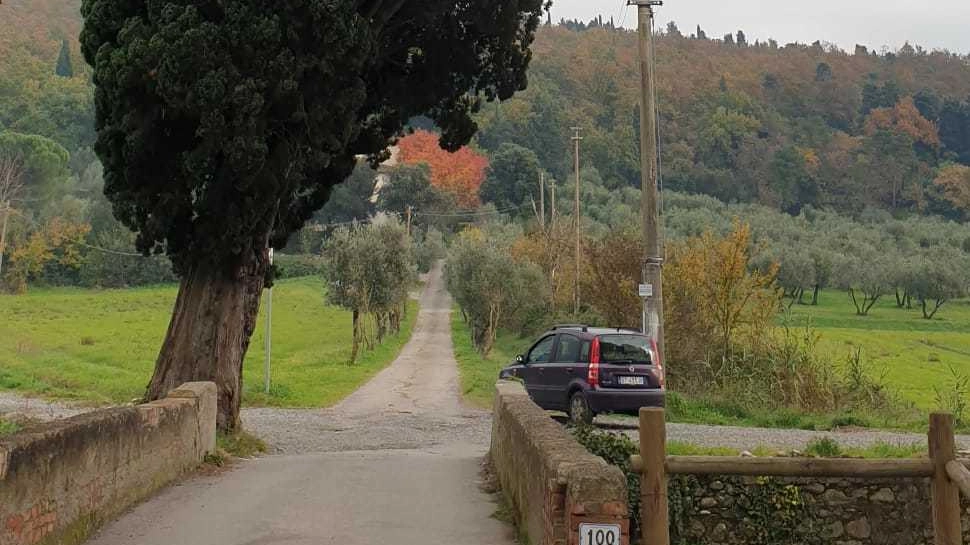 Giù i cipressi e il ponte di Bagnolo. È per  sicurezza. Ma c’è chi protesta