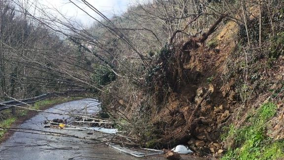 Il gruppo consiliare Pistoia Ecologista e Progressista interviene sulla situazione della via Nuova di Campiglio, chiusa dopo l’ennesima frana e...