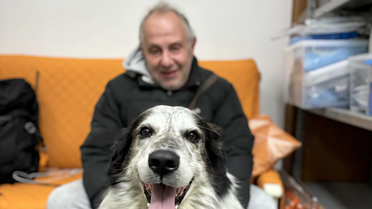 Giuseppe e il suo cane Bobby: l’uomo per i prossimi tre giorni sarà in una struttura d’accoglienza, e l’amico peloso dalla Lav