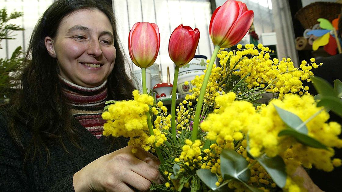 Addio ai giorni della Merla: in Toscana mimose già fiorite e bombe d