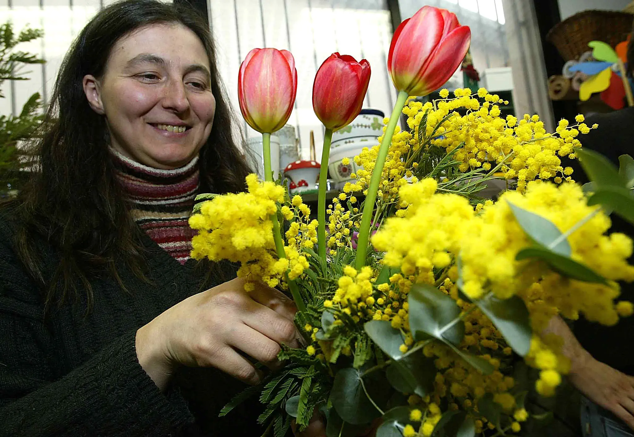 Addio ai giorni della Merla: in Toscana mimose già fiorite e bombe d'acqua