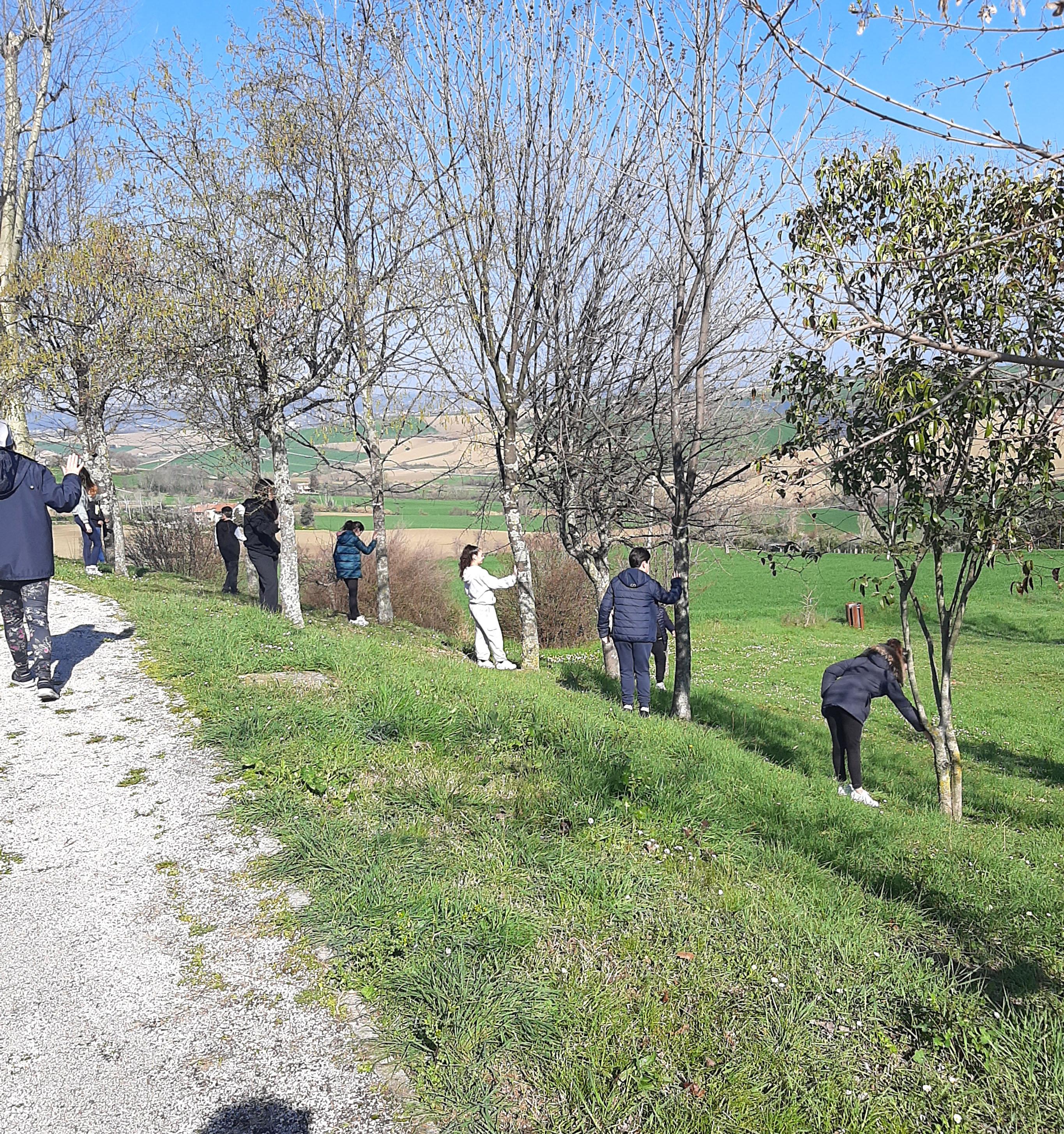 Flora apuana in pericolo. Specie rare di montagna gravemente minacciate