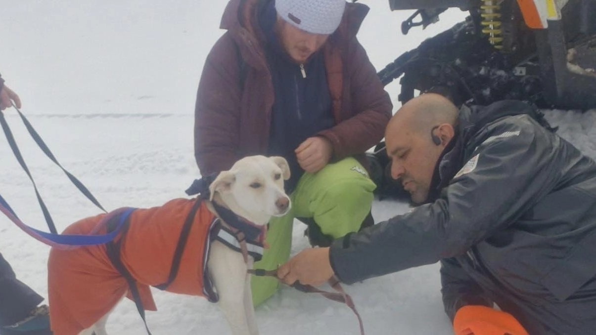 Uno dei momenti in cui la cagnolina Kate è stata tratta in salvo dai soccorritori