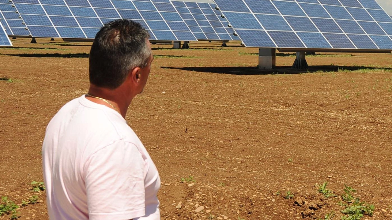 Il Tar boccia il Comune. La “Calcinaia green“ può realizzare l’impianto fotovoltaico