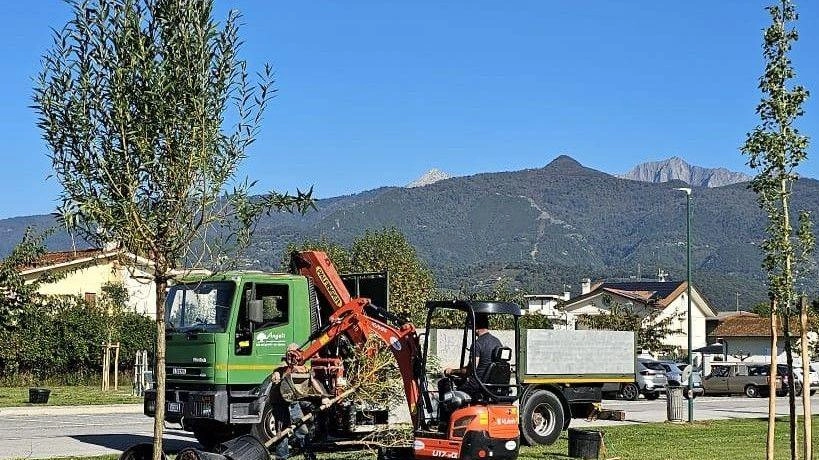 Piantumazioni 70 nuovi alberi