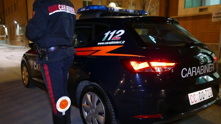 Decisivo l'intervento dei carabinieri (Foto Ansa)