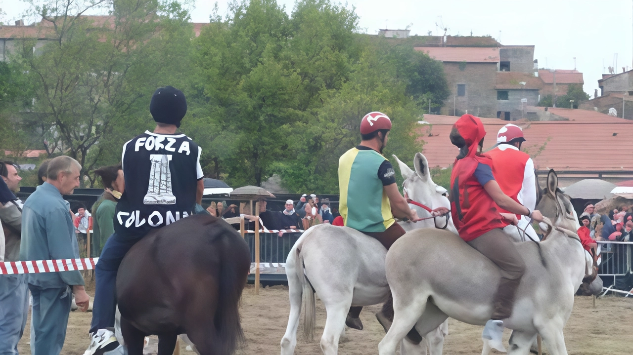 Il "Palio dei Ciuchi" a Vetulonia celebra la sua 72esima edizione con festeggiamenti che riportano agli anni '50. La rievocazione storica e la corsa tra le contrade culmineranno domani con la gara attesa e le premiazioni.