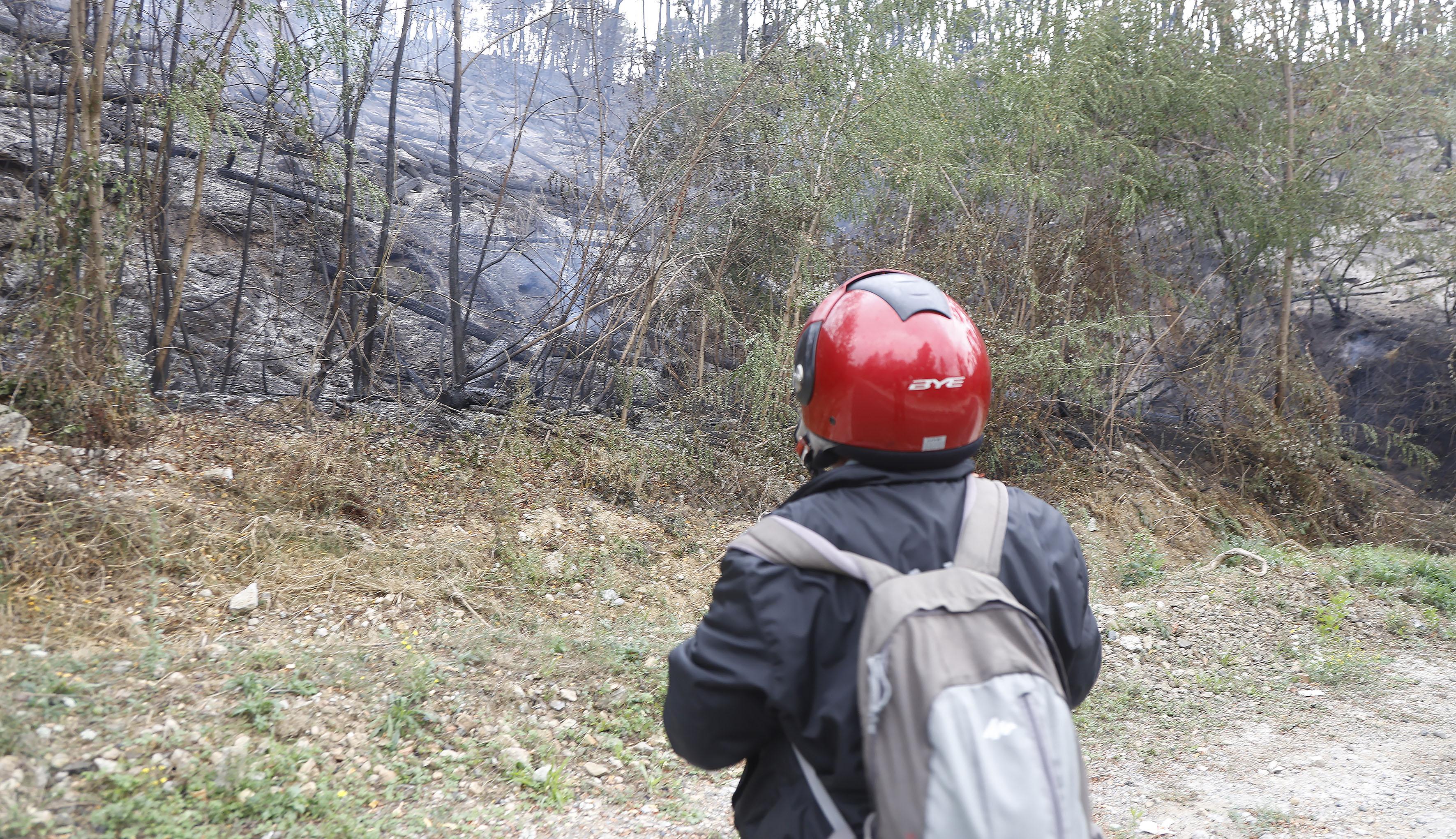 Rogo di Pomara, due denunciati. Scatta il sequestro dell’area, indagini lampo dei Forestali