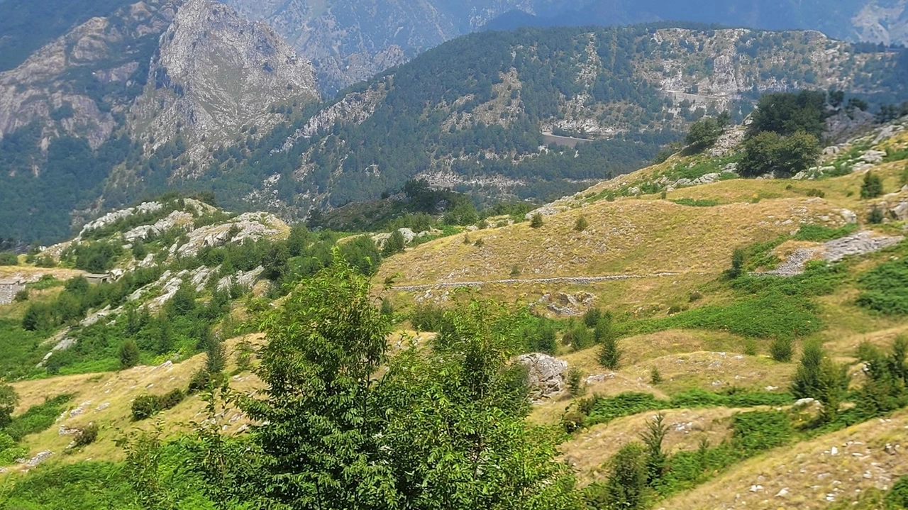 Progetto per salvare le praterie montane colonizzate dalla vegetazione arbustiva e arborea