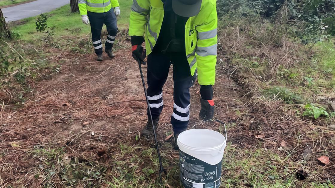 Droghe, l’emergenza silenziosa. Siringhe nel parco di San Rocco: "Ritrovamento da non tacere"