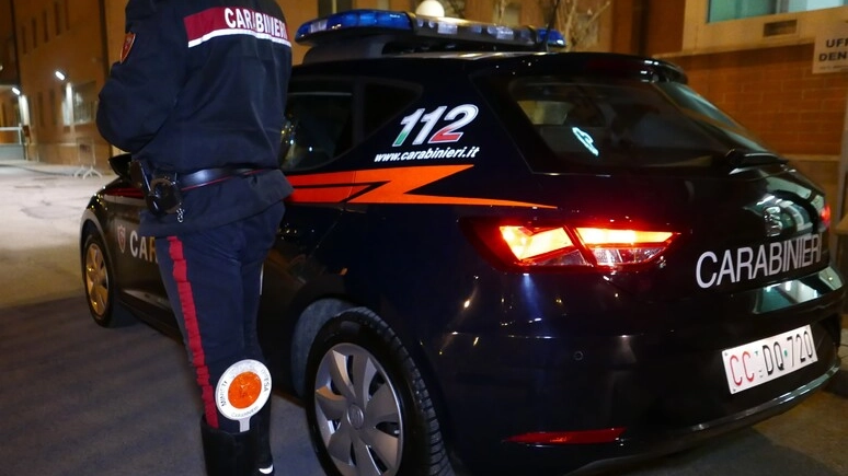 L'intervento dei carabinieri (Foto Ansa)