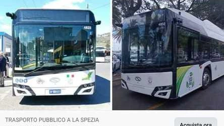 "Sei mesi sui bus a soli 2 euro". Truffa web, la denuncia di Atc