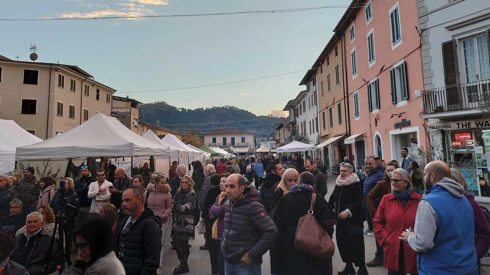 "Prim’olio, Primovino". Il legame indissolubile con la terra e gli uliveti