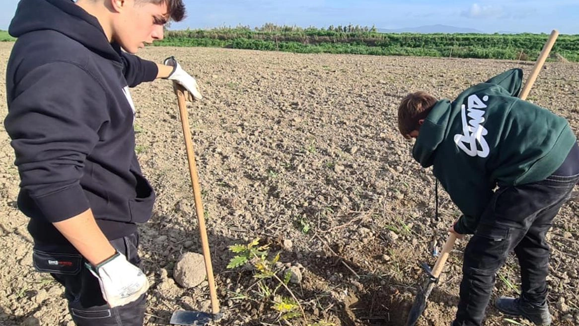 I militari del Centro, Carabinieri e studenti del "Lorena" insieme. Dopo la bonifica del terreno è stato predisposto un piano. di recupero e di ripristino della biodiversità nell’intera zona.