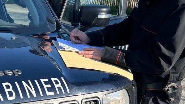 Indagini condotte dai carabinieri