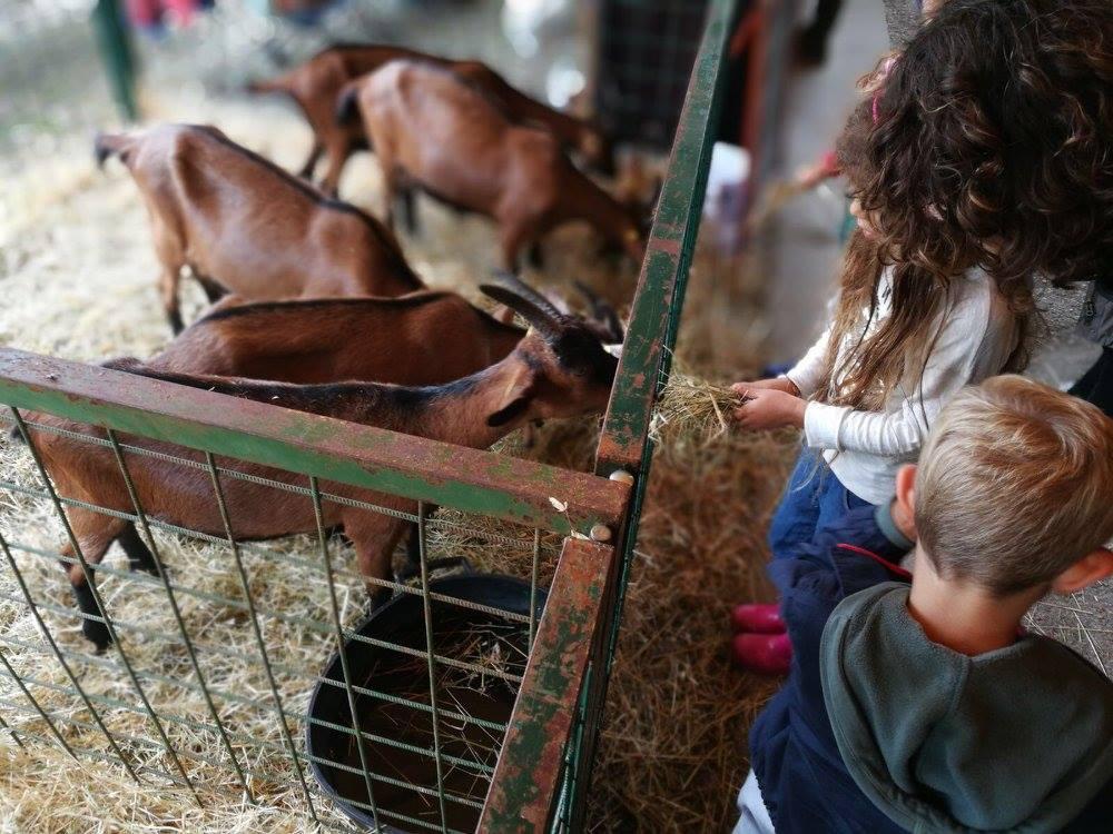 Antella si trasforma in aia per la sua antica Fiera